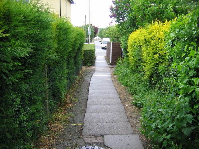 img_0008.jpg
